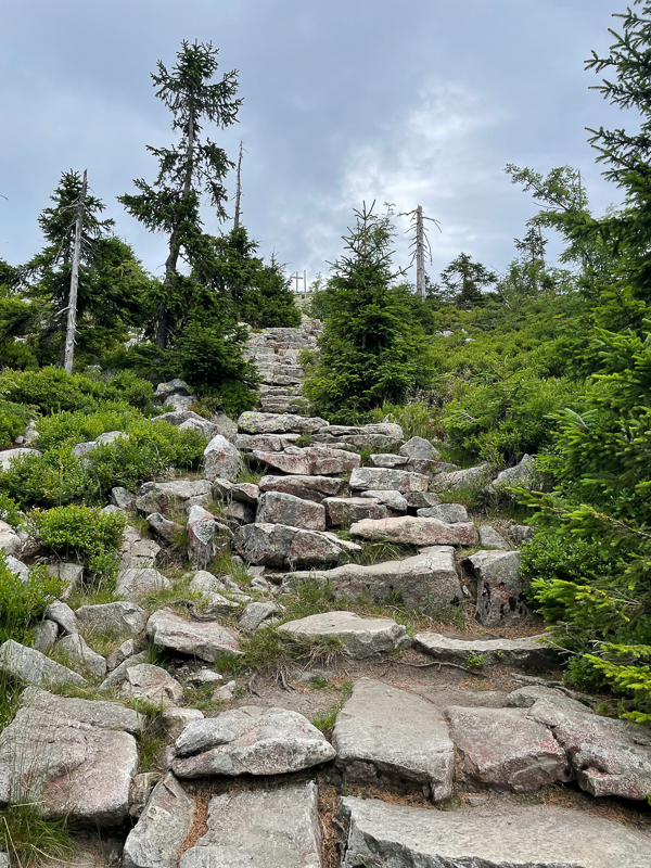 Aufstieg zum Lusen (1373 m)