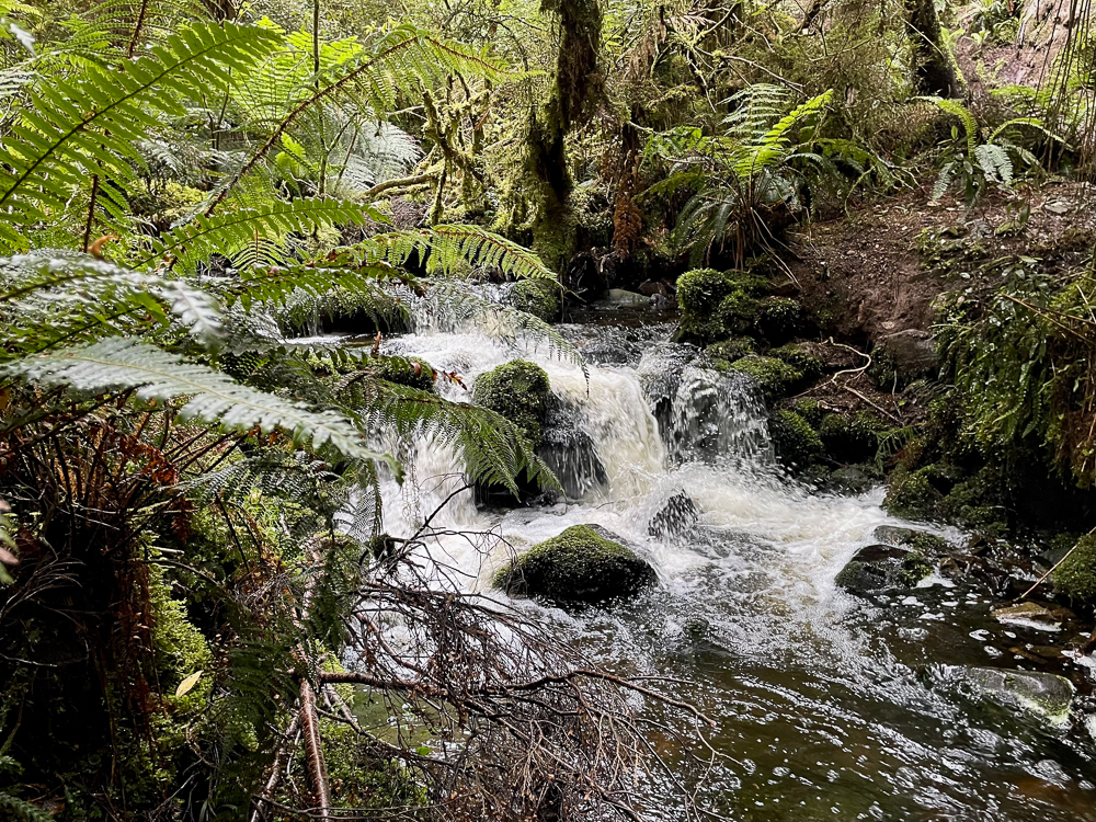 Teil des Wegs und Wasserquelle - Etappe 4: Colac Bay - Martins Hut