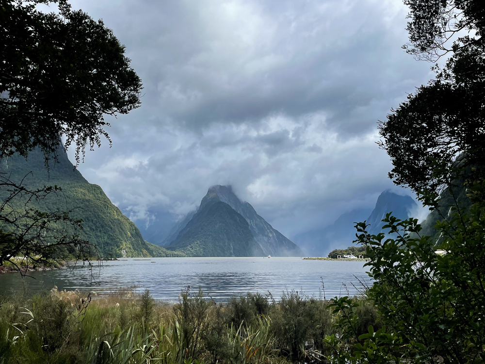 Ausflug zum Milford Sound