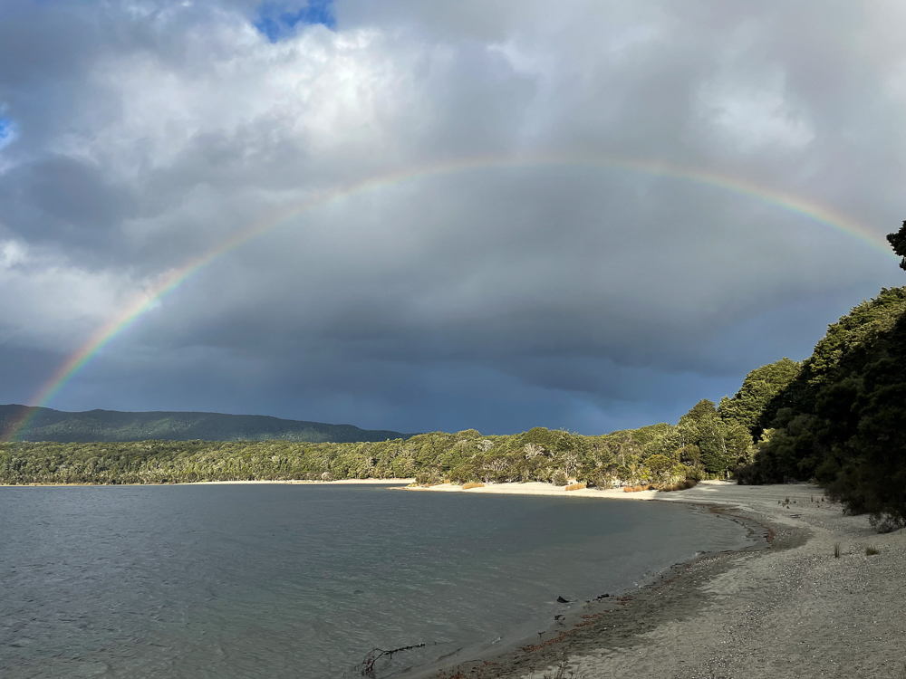 Shallow Bay - Great Walk: Kepler Track