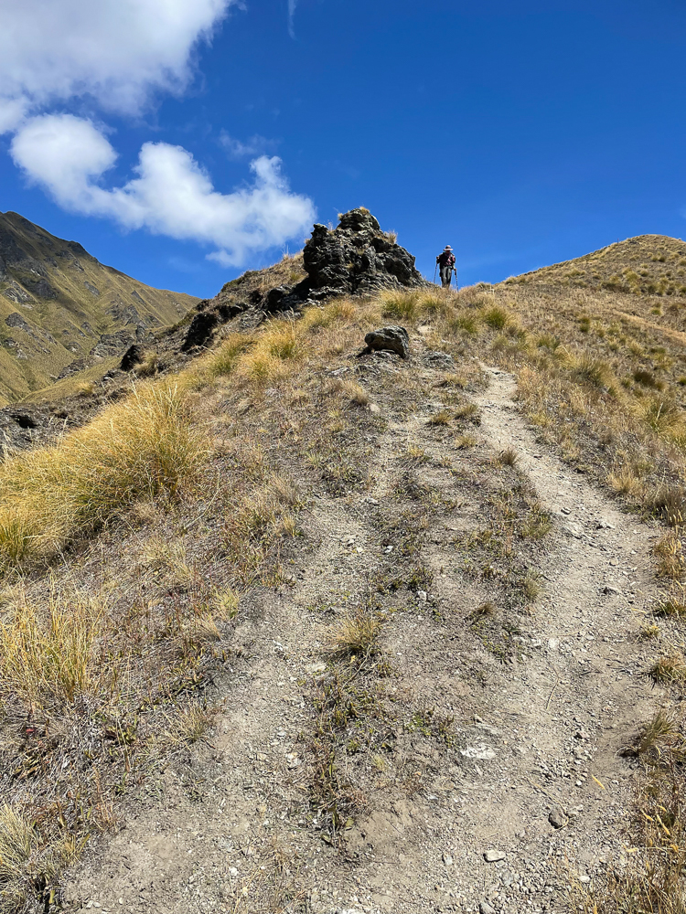 Etappe 13: Roses Hut - Highland Creek Hut