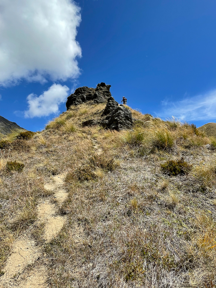 Etappe 13: Roses Hut - Highland Creek Hut