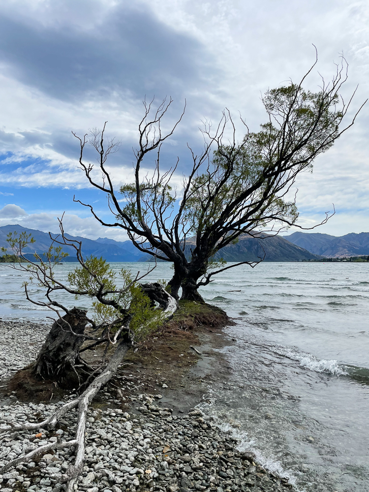 Etappe 16: Glendhu Holiday Park - Wanaka